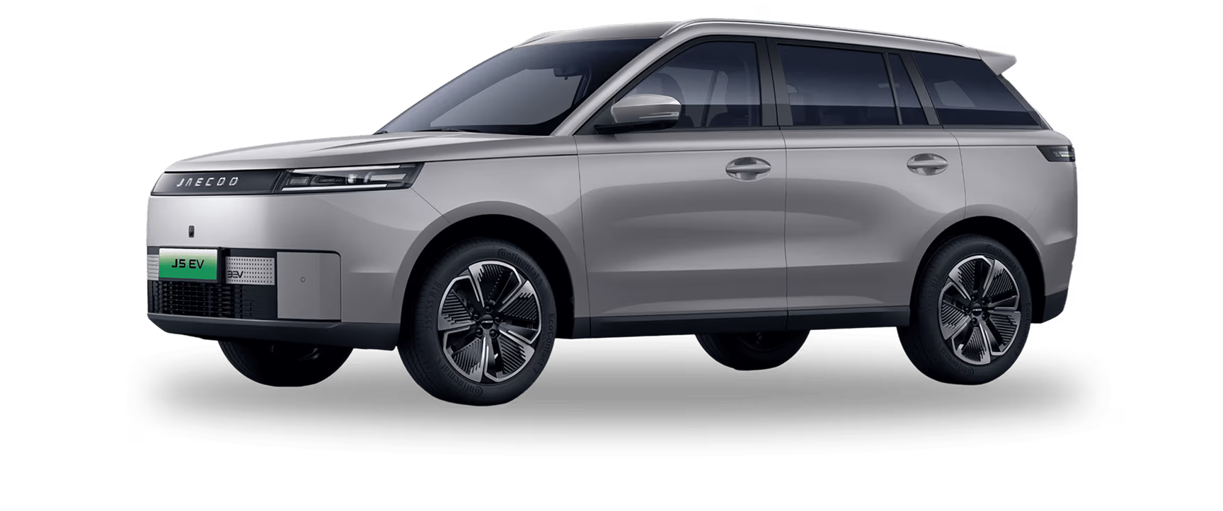Ivory Gray